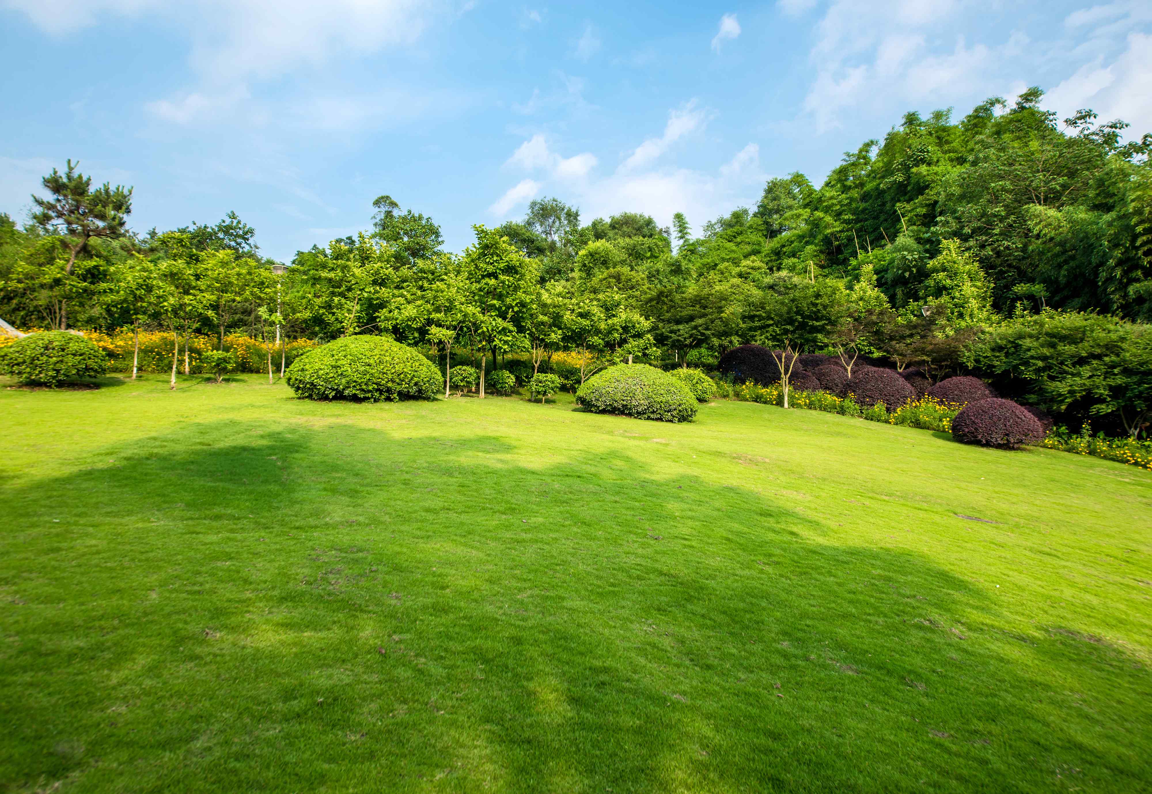 Coeur d'Alene lawn care