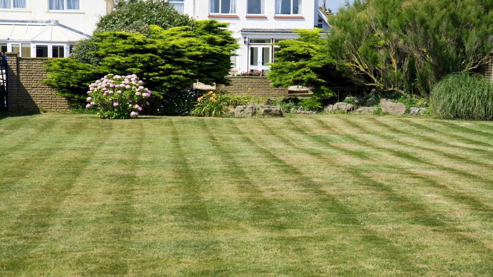fresh cut lawn